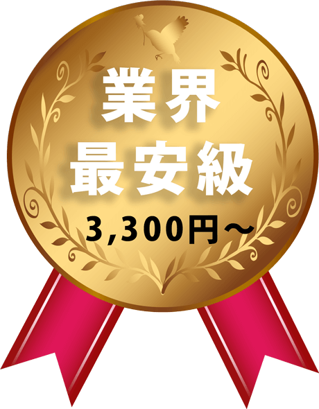 業界最安級 3,300円〜
